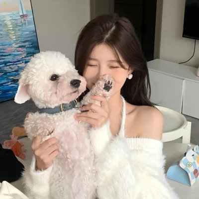 8万伏特霹雳神龙