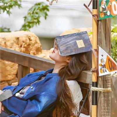 海龟奇妙之旅